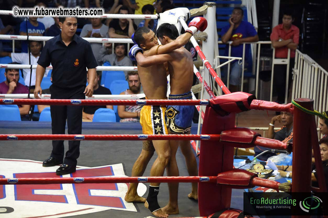 Muay Thai Boxing