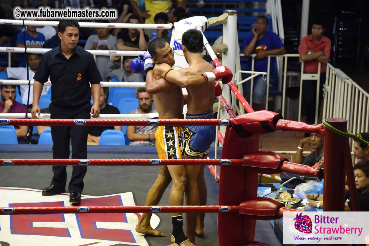 Muay Thai Boxing