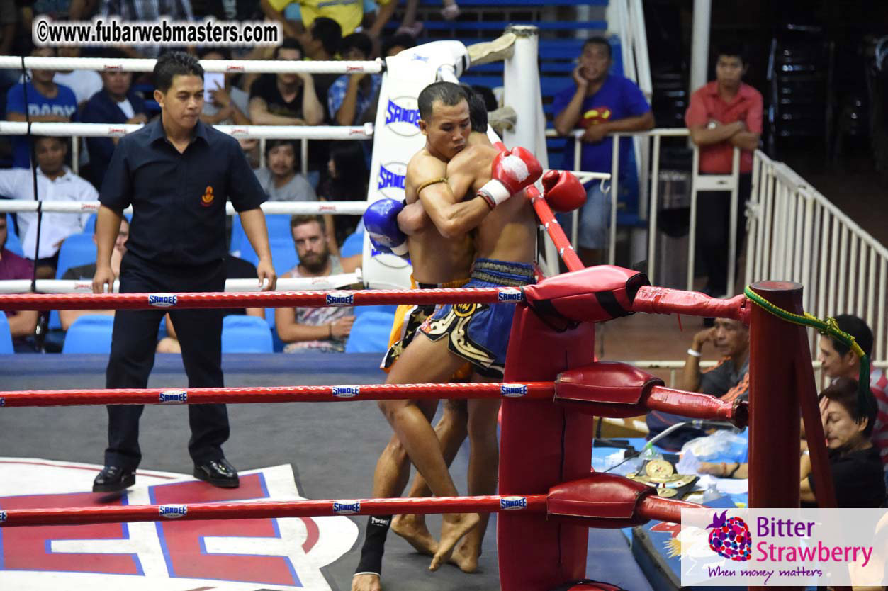 Muay Thai Boxing