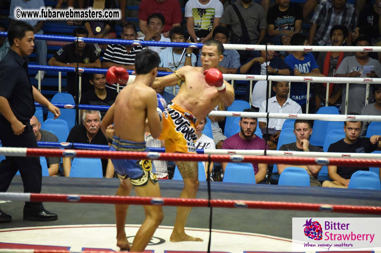 Muay Thai Boxing