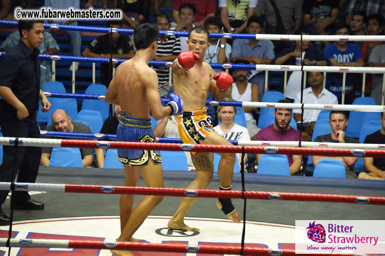 Muay Thai Boxing