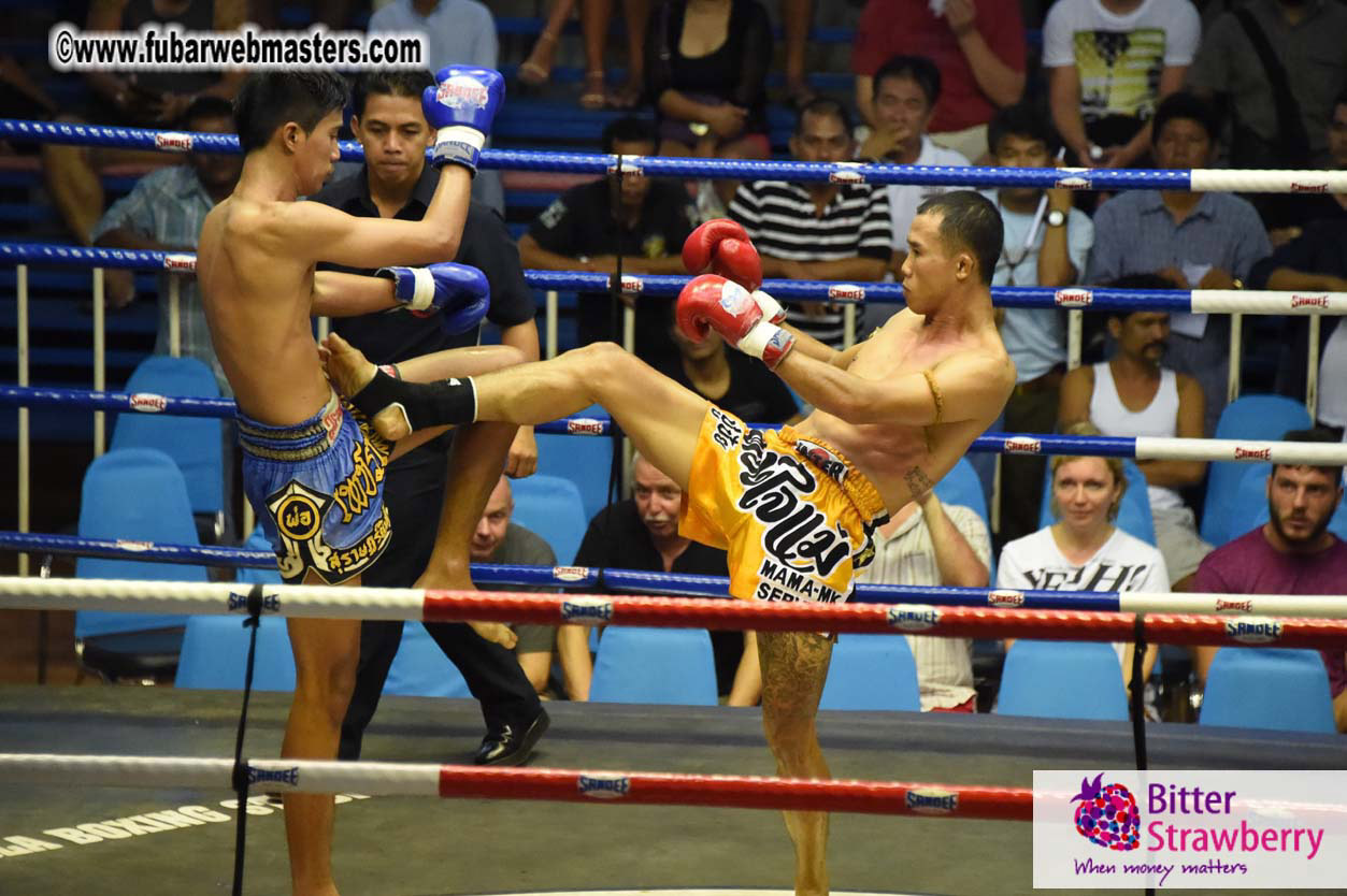 Muay Thai Boxing