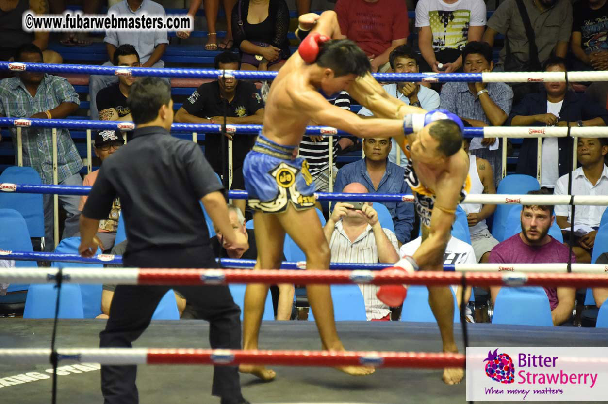 Muay Thai Boxing