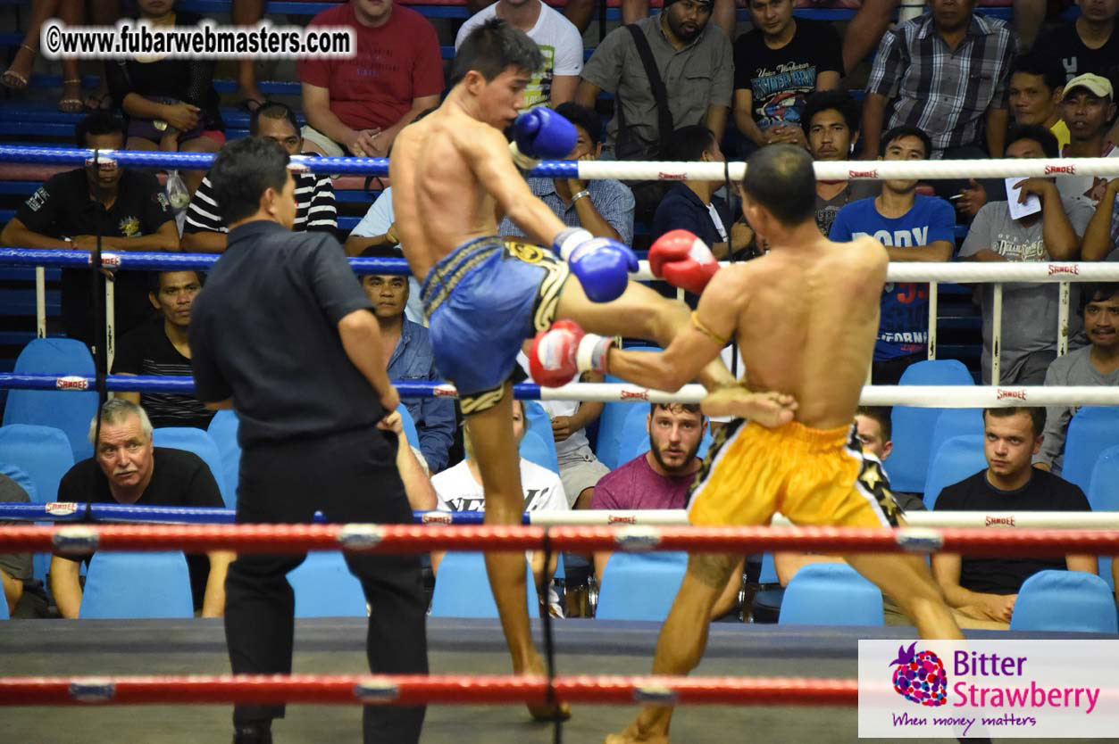 Muay Thai Boxing