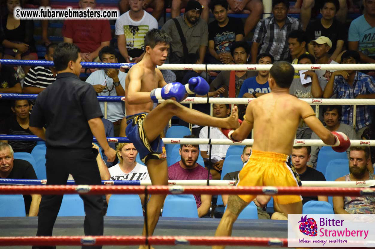 Muay Thai Boxing