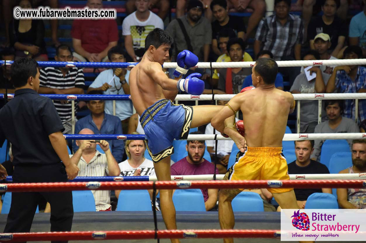 Muay Thai Boxing