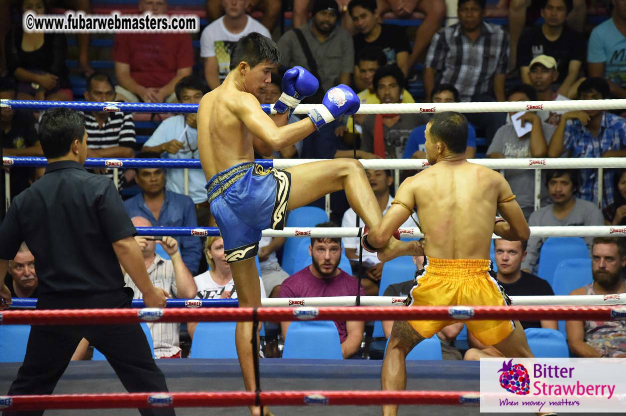 Muay Thai Boxing