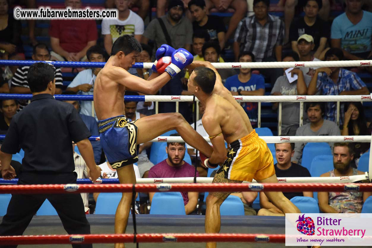 Muay Thai Boxing