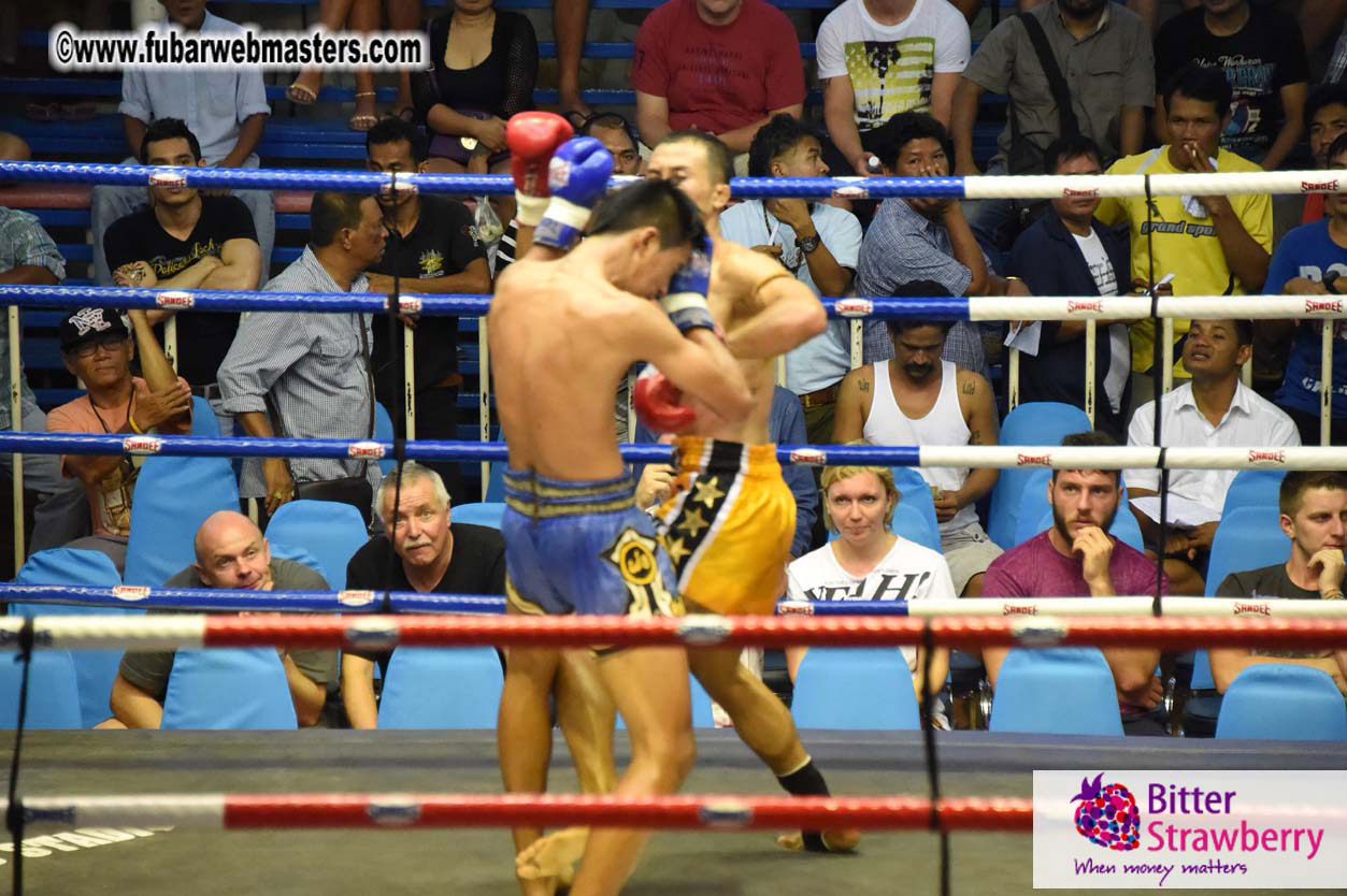 Muay Thai Boxing