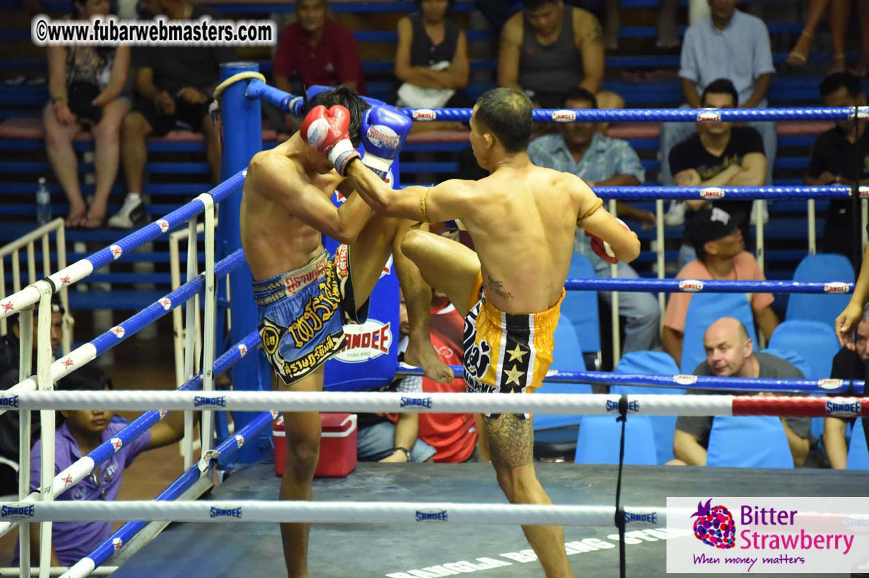 Muay Thai Boxing