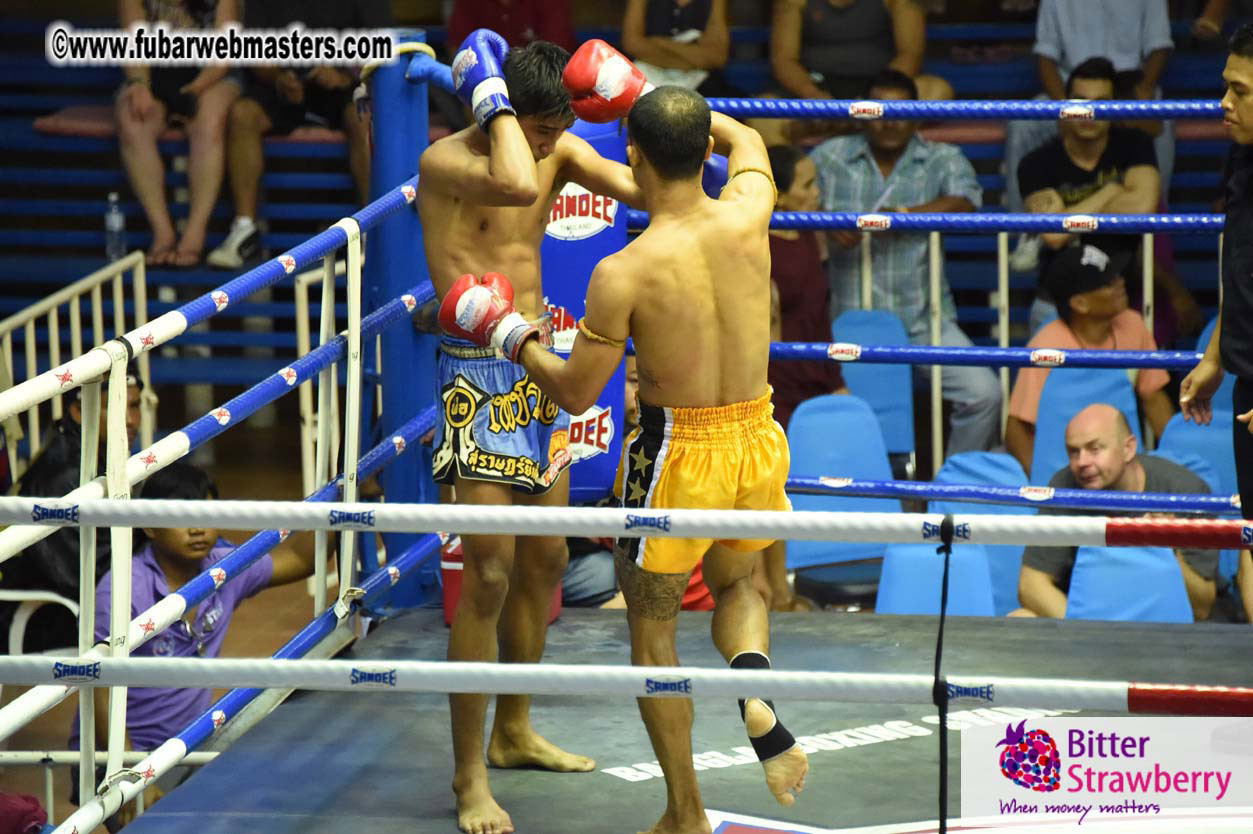 Muay Thai Boxing