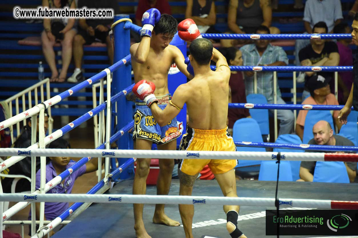 Muay Thai Boxing