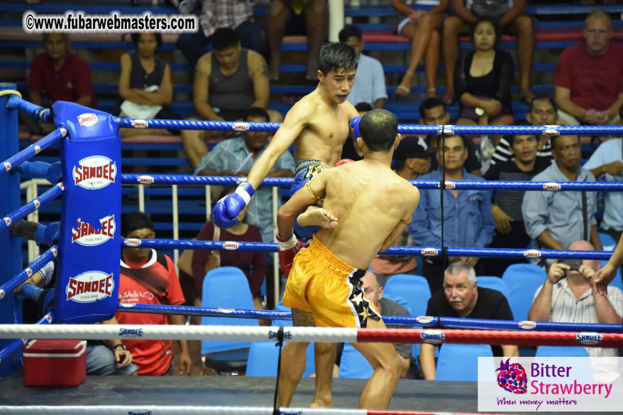 Muay Thai Boxing