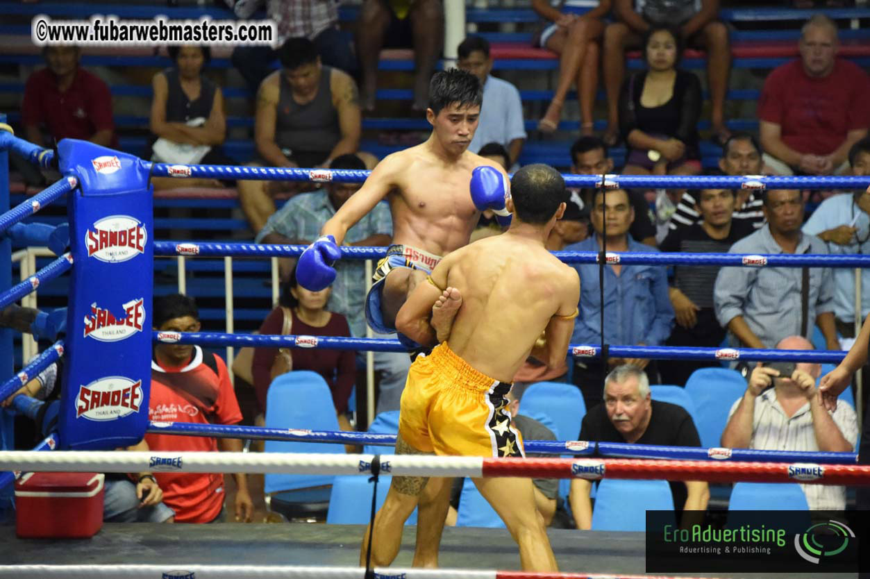 Muay Thai Boxing