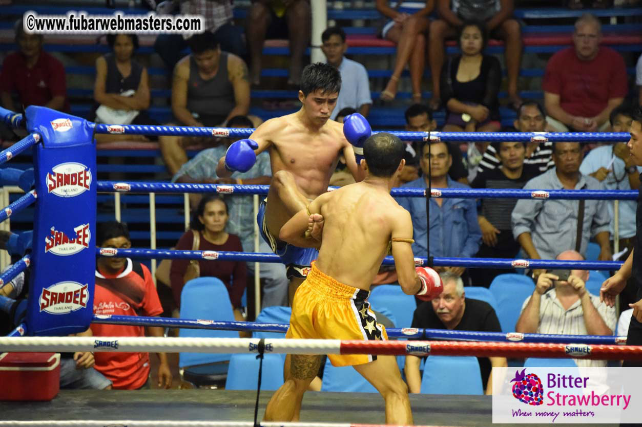 Muay Thai Boxing