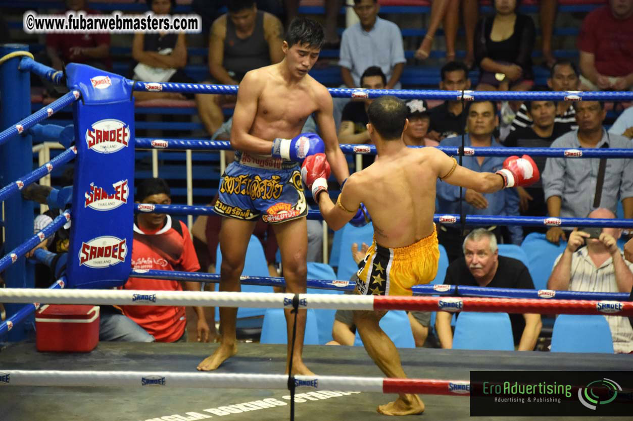 Muay Thai Boxing