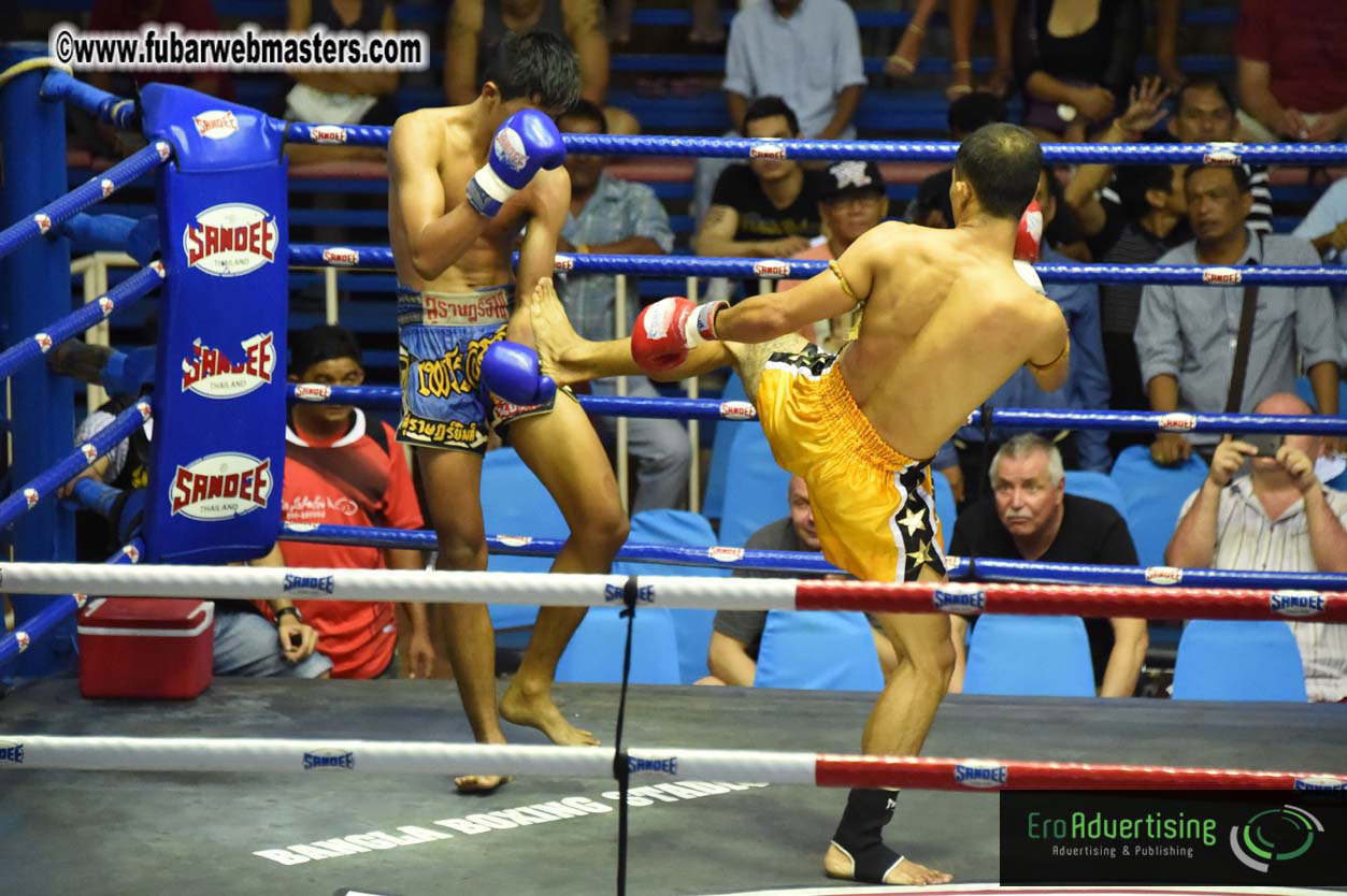 Muay Thai Boxing