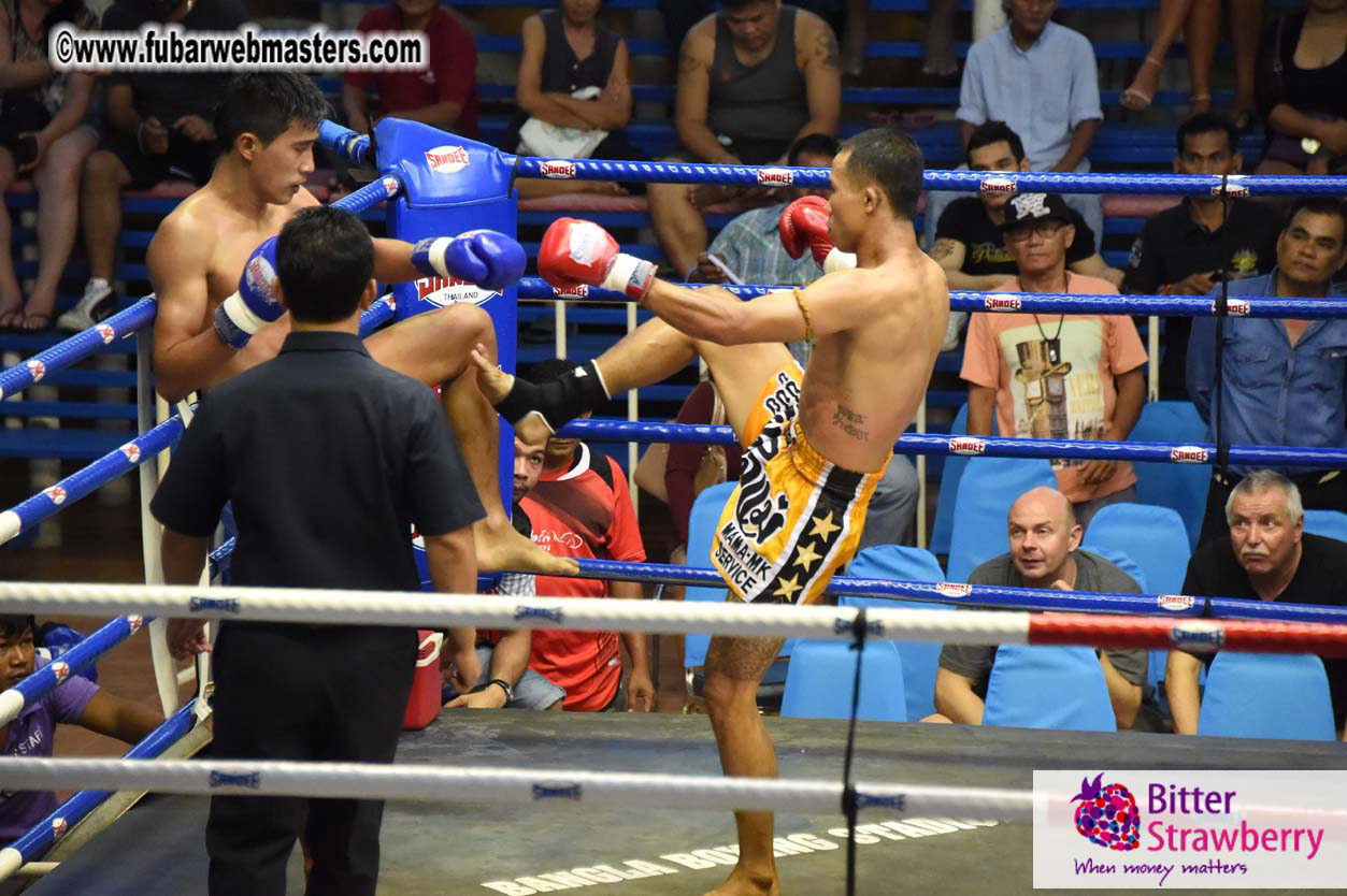 Muay Thai Boxing