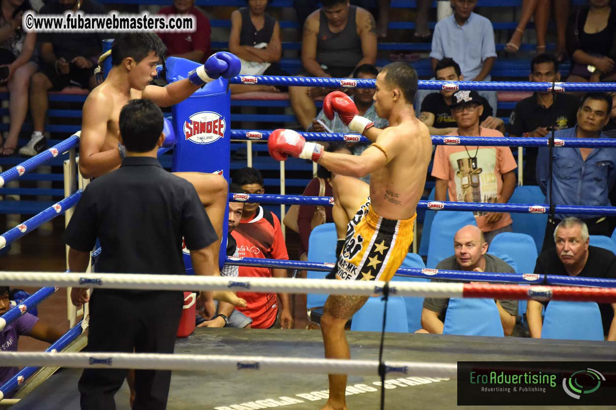 Muay Thai Boxing