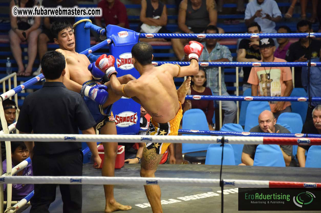 Muay Thai Boxing