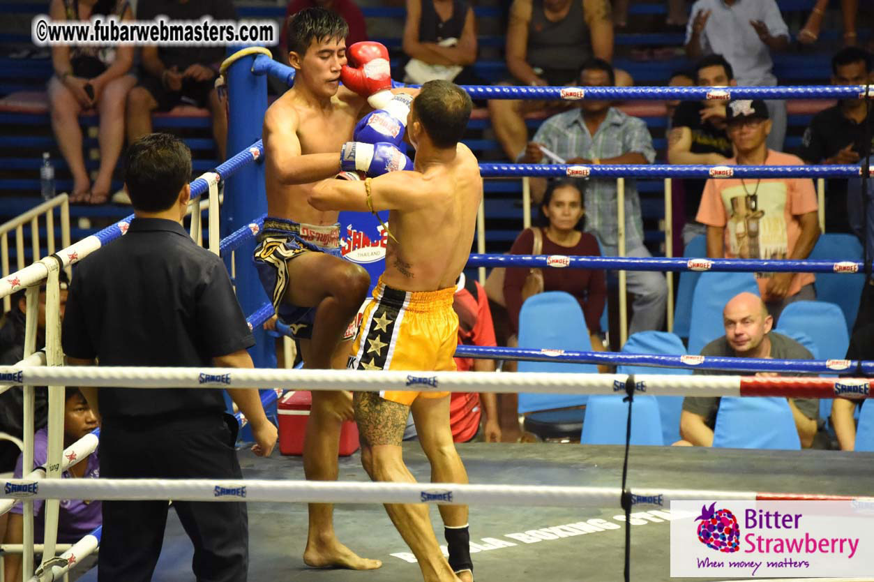 Muay Thai Boxing