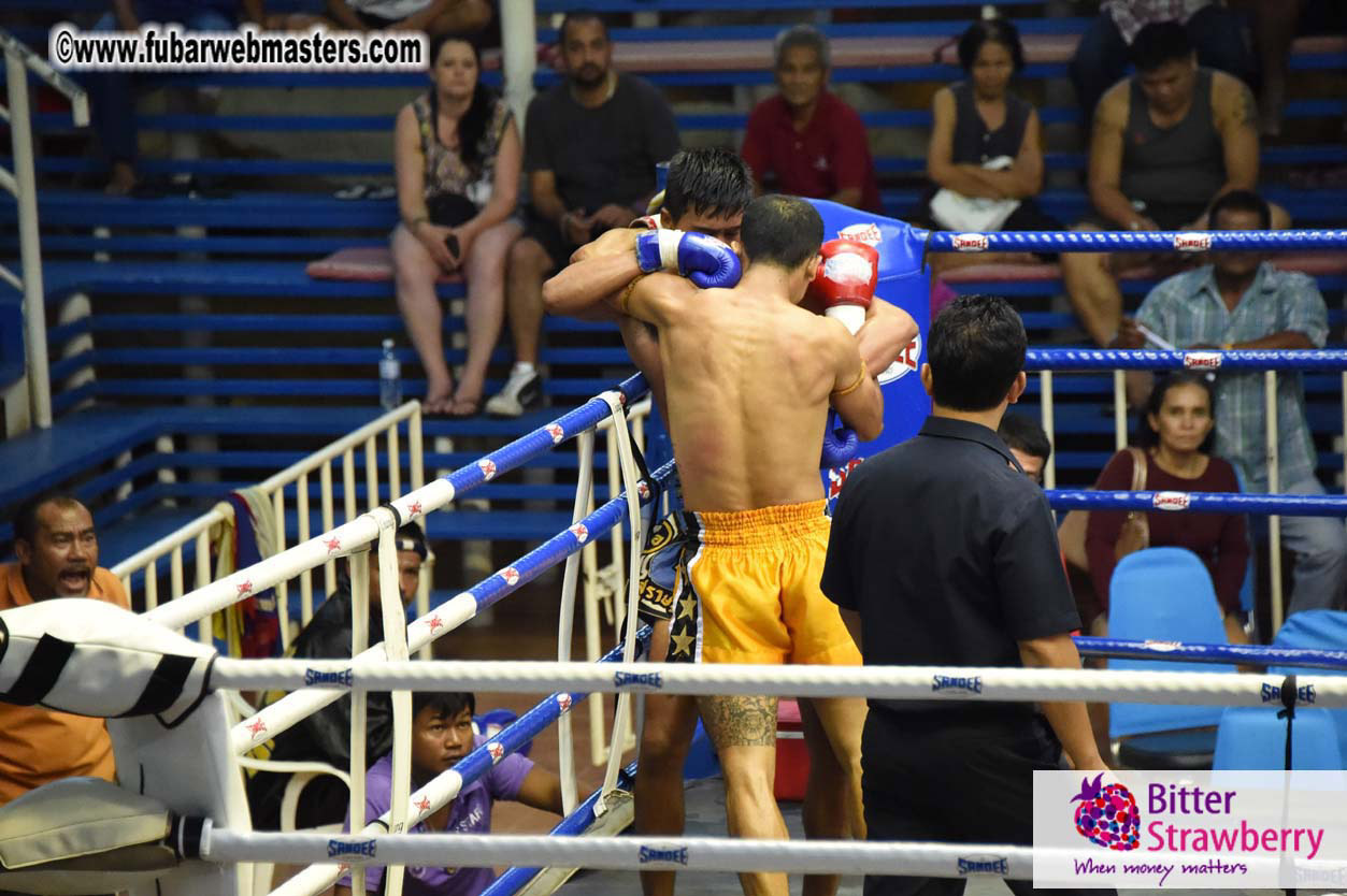 Muay Thai Boxing