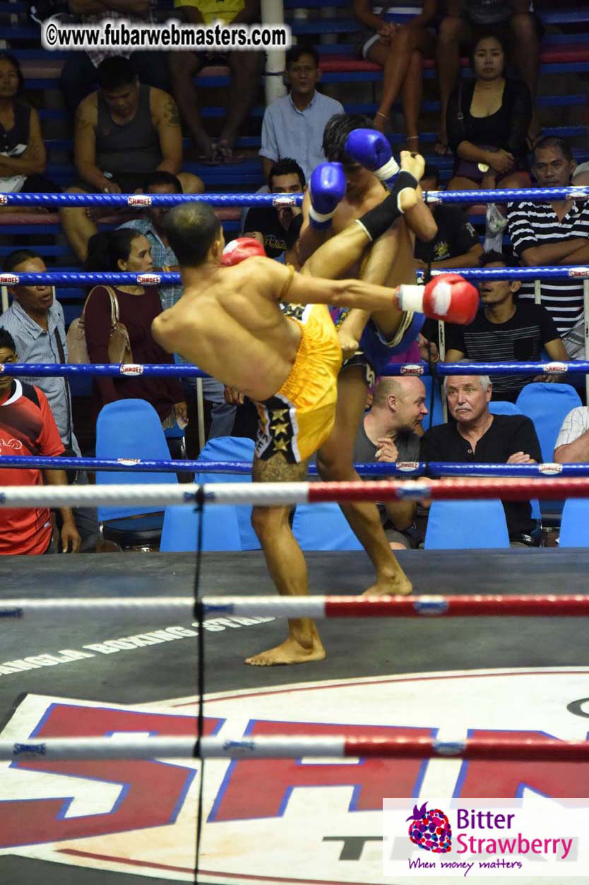 Muay Thai Boxing