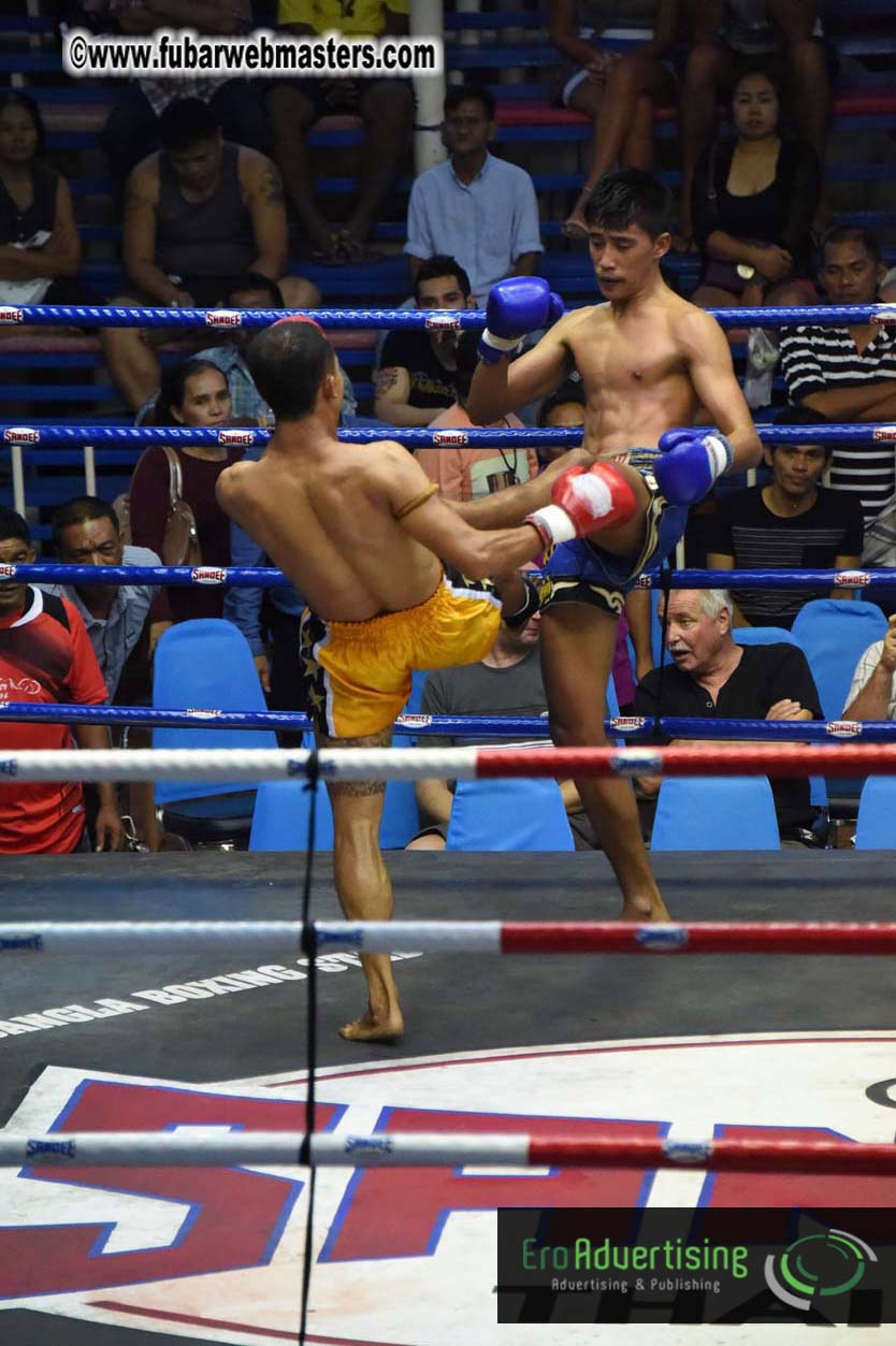 Muay Thai Boxing