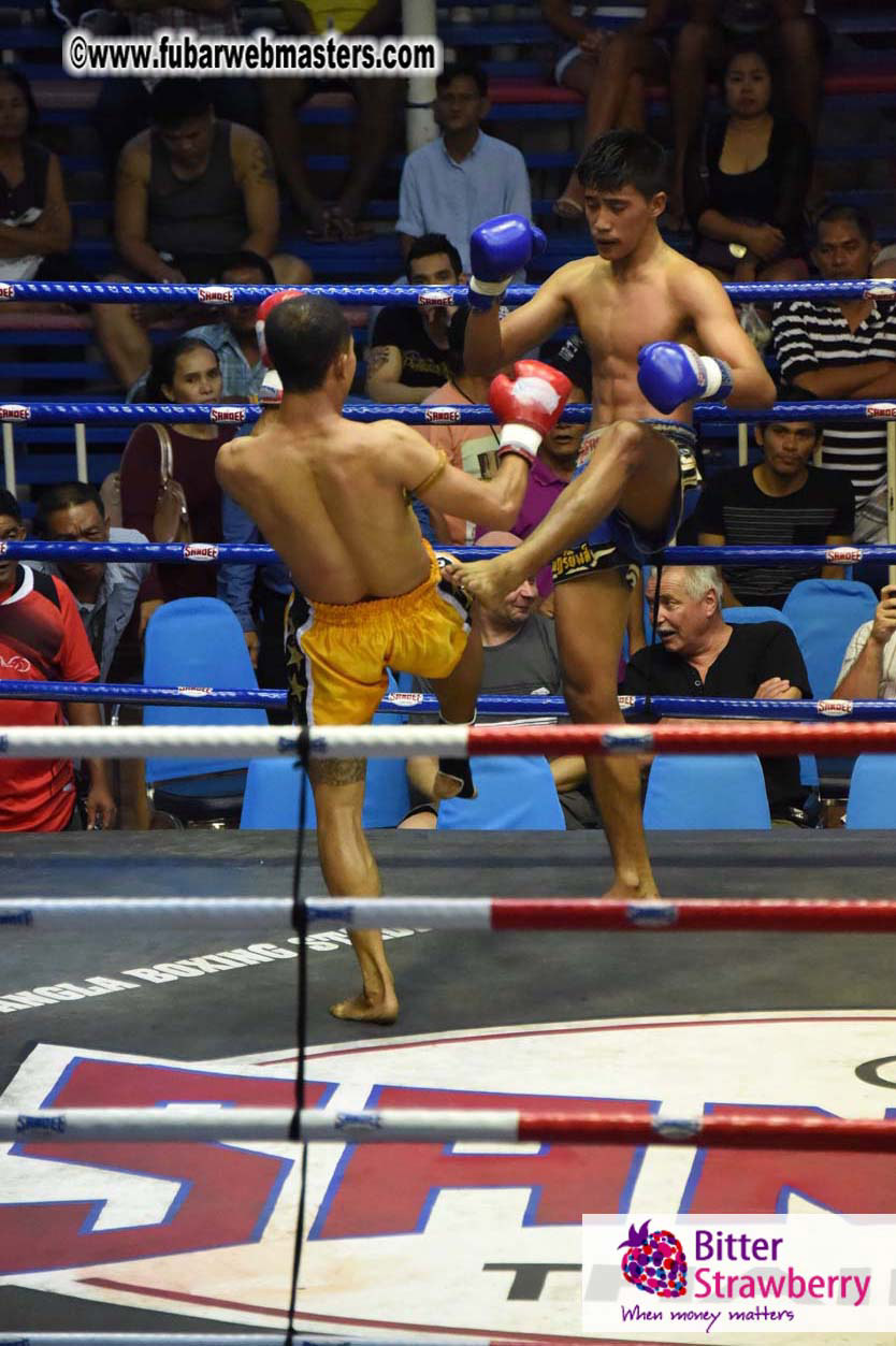 Muay Thai Boxing