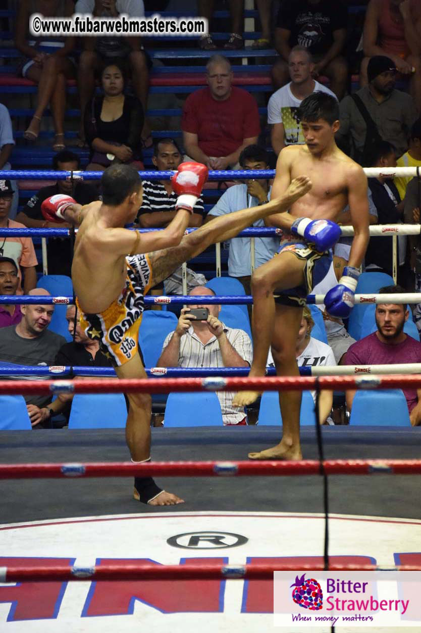 Muay Thai Boxing