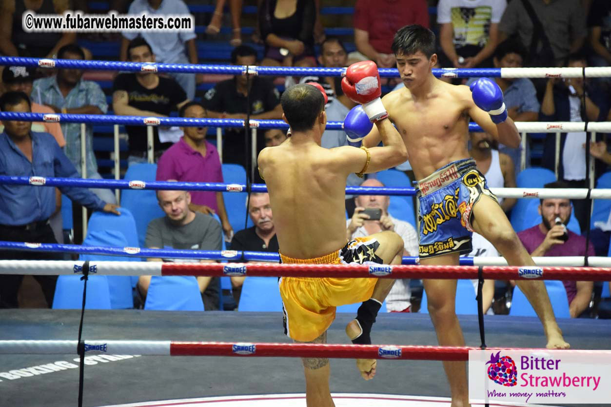 Muay Thai Boxing