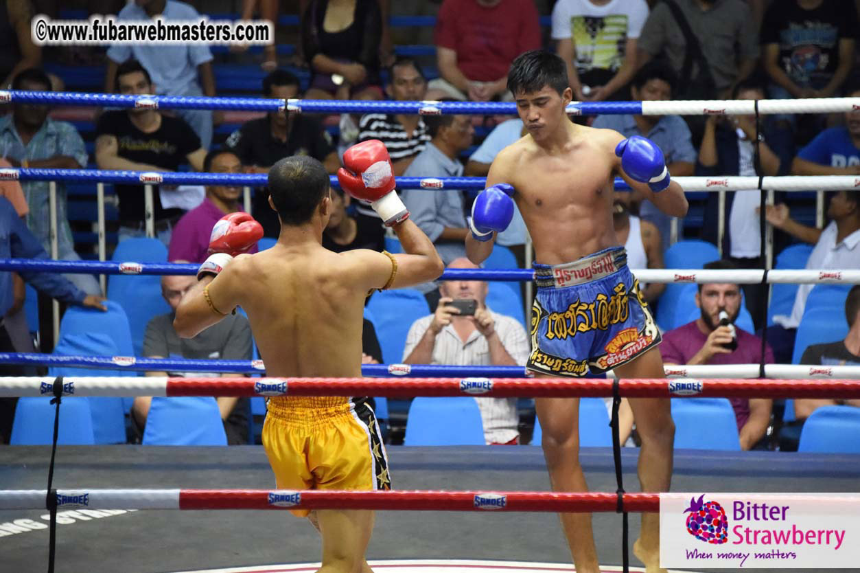 Muay Thai Boxing