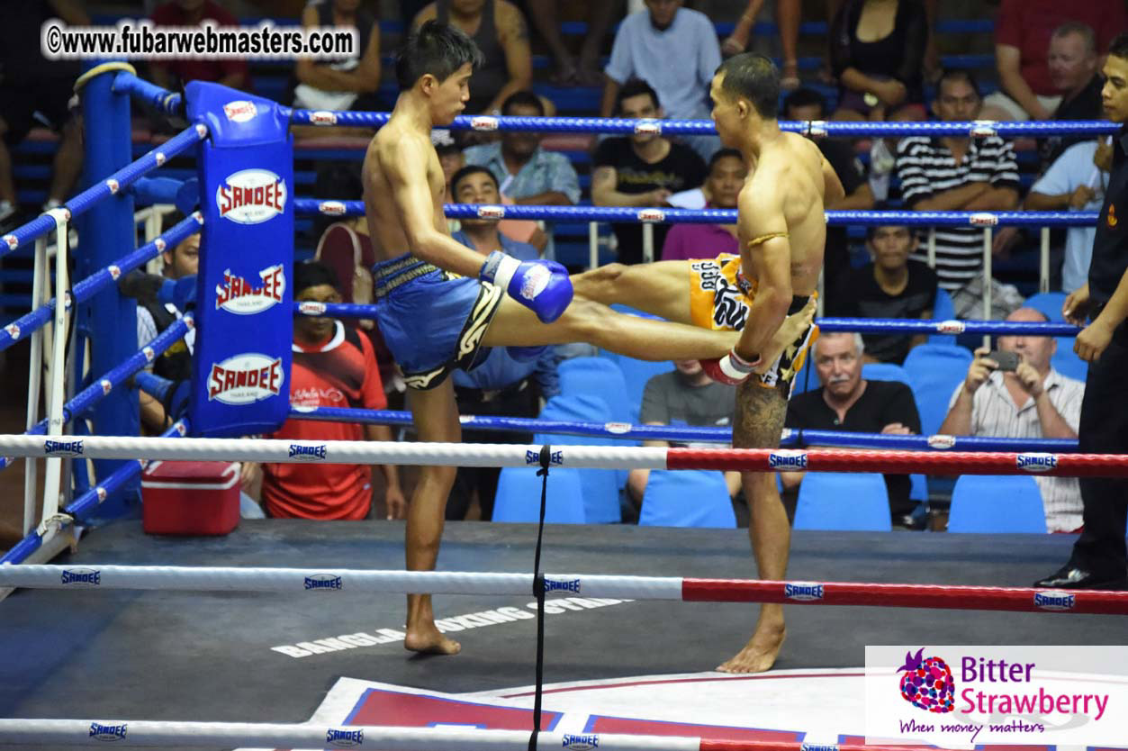 Muay Thai Boxing