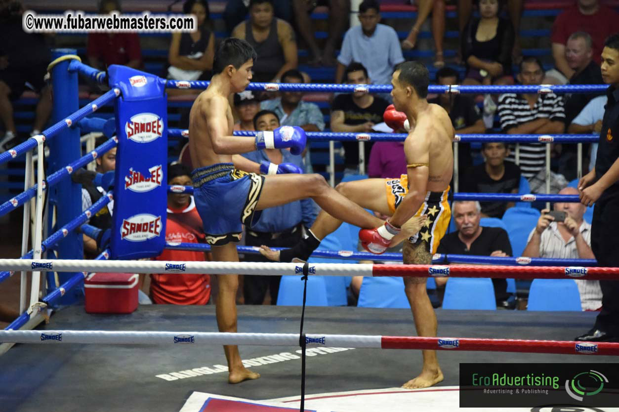 Muay Thai Boxing