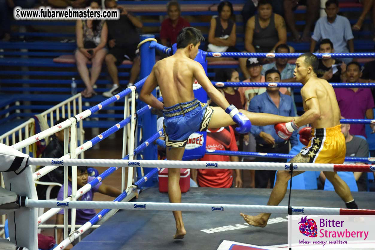 Muay Thai Boxing