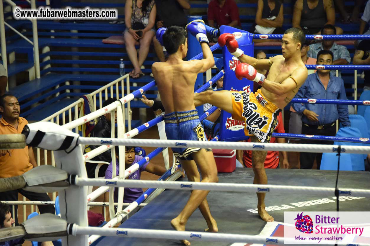 Muay Thai Boxing