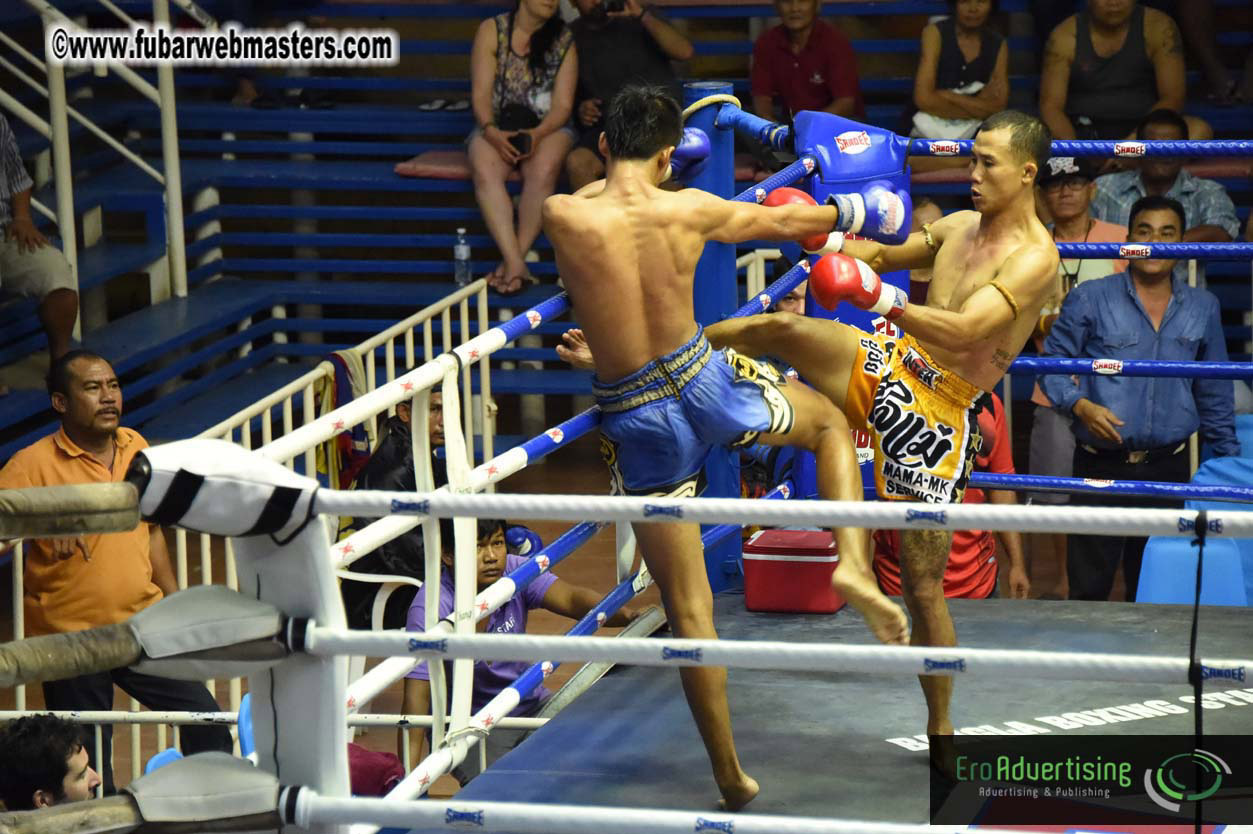 Muay Thai Boxing