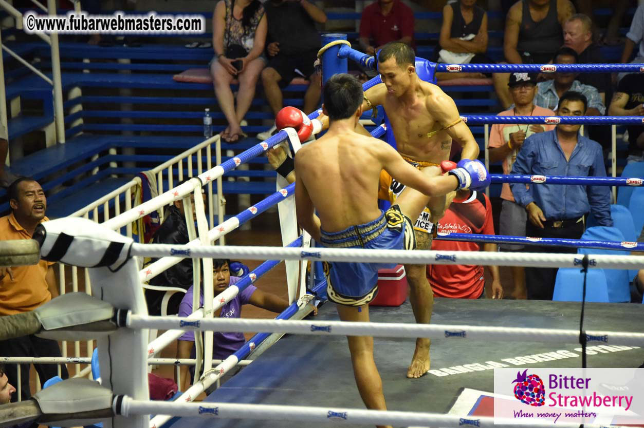 Muay Thai Boxing