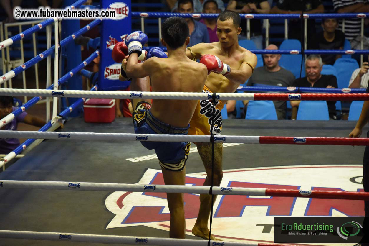 Muay Thai Boxing