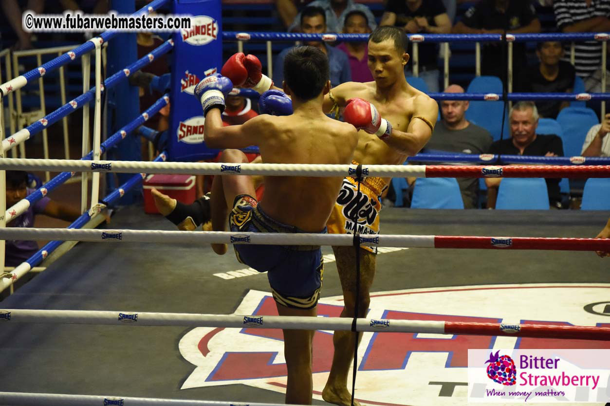 Muay Thai Boxing