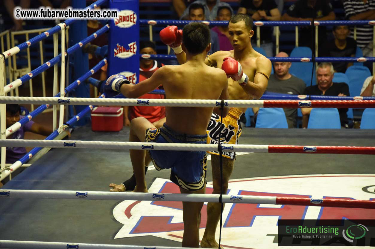 Muay Thai Boxing