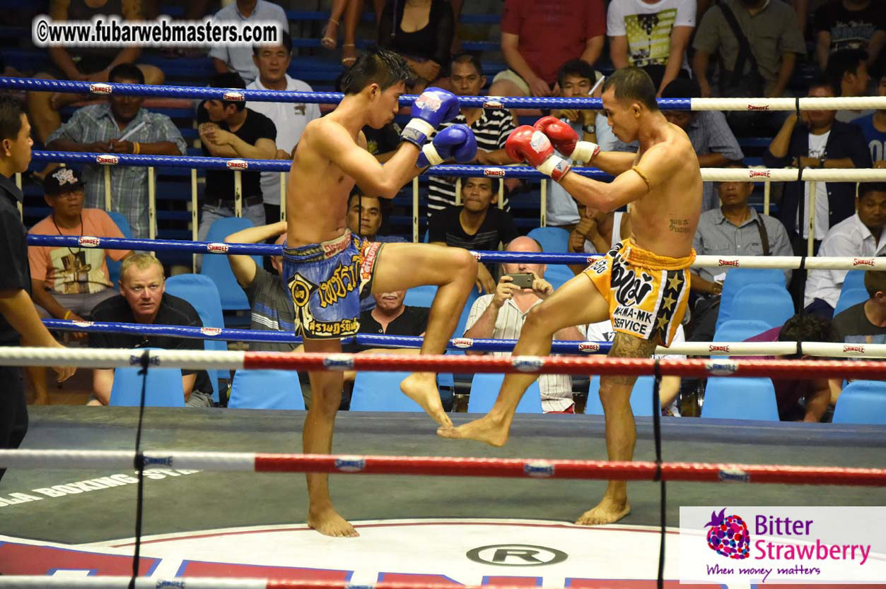 Muay Thai Boxing