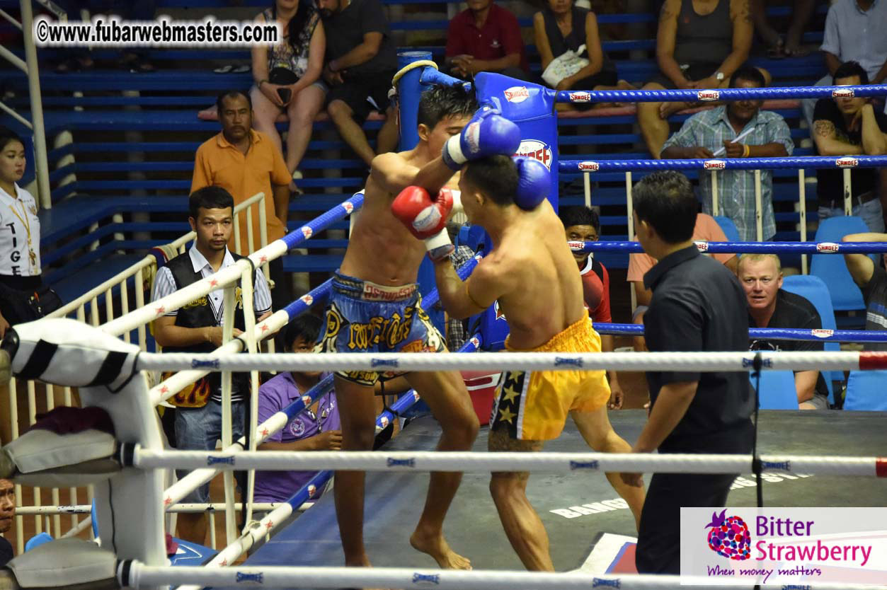 Muay Thai Boxing