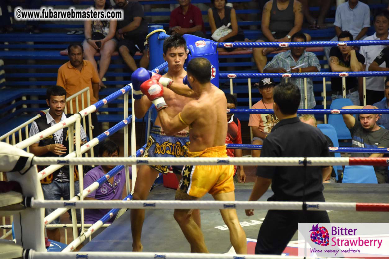 Muay Thai Boxing