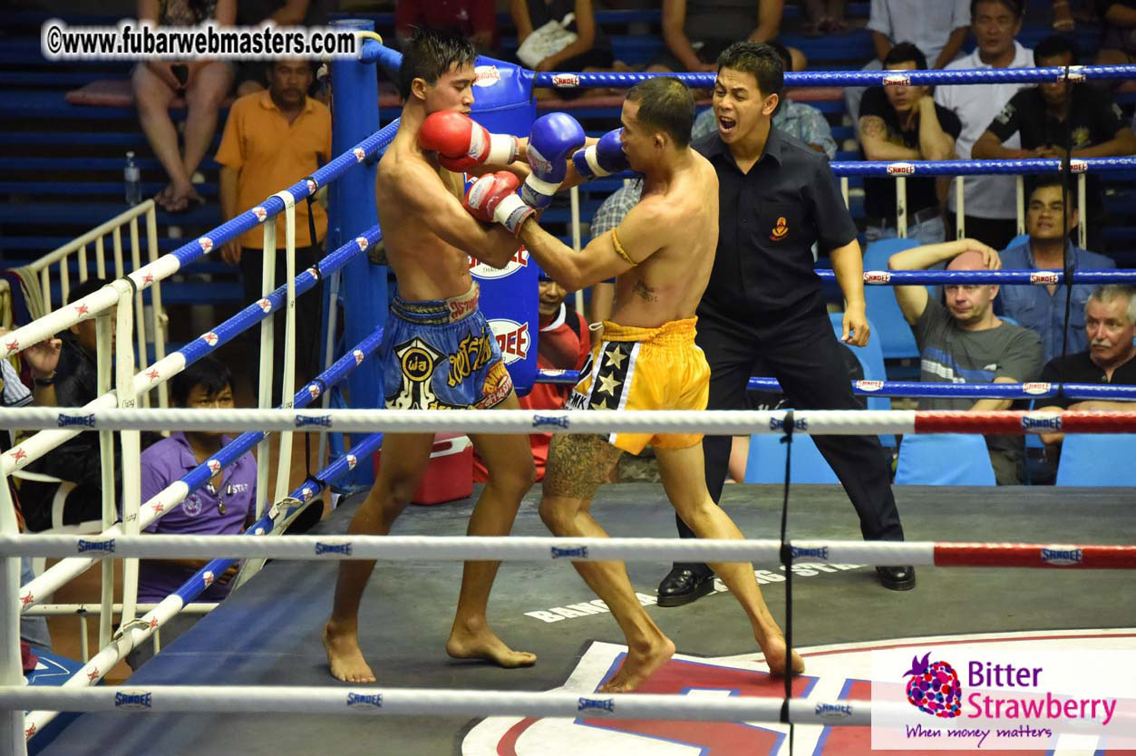 Muay Thai Boxing