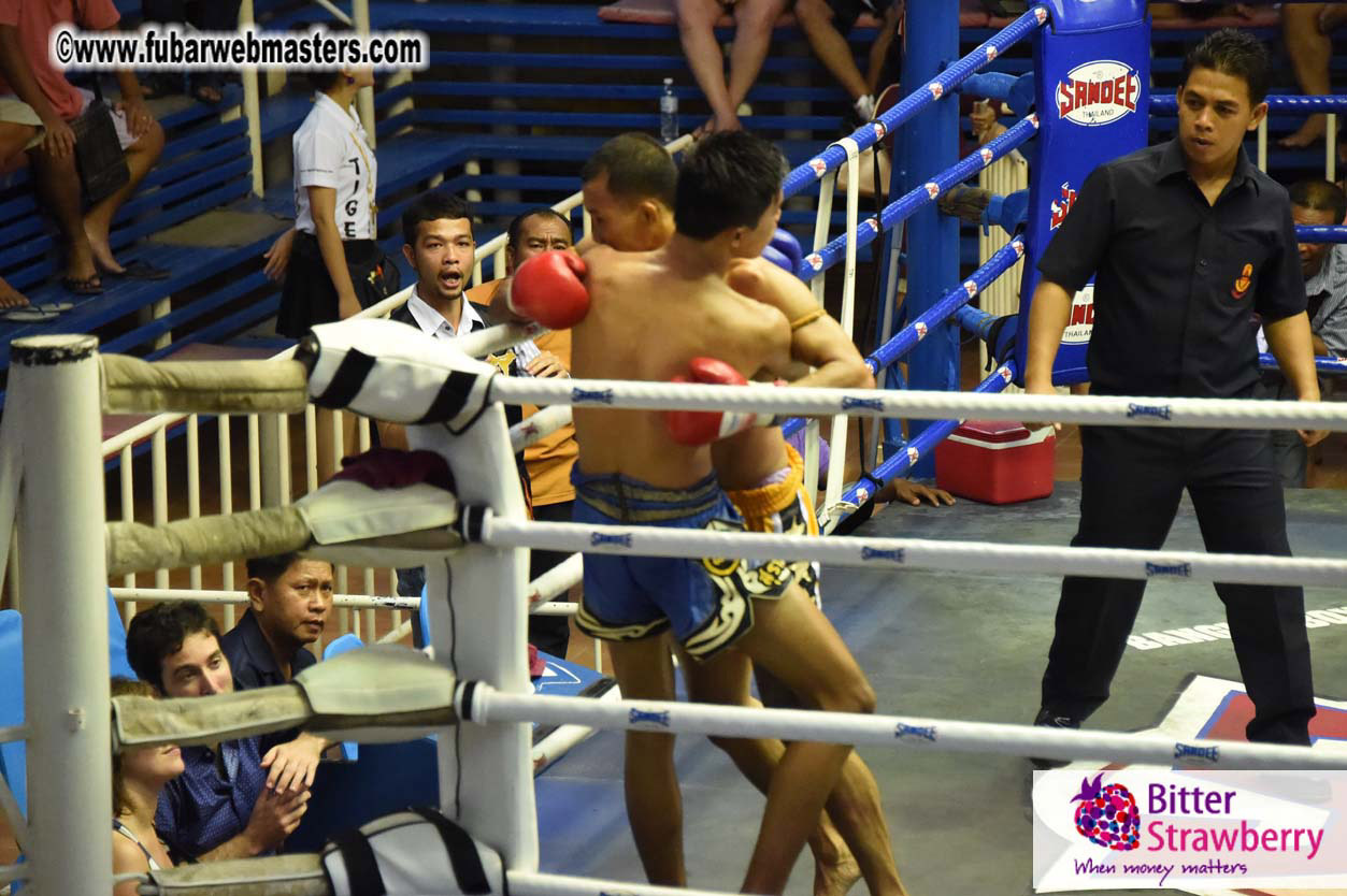 Muay Thai Boxing