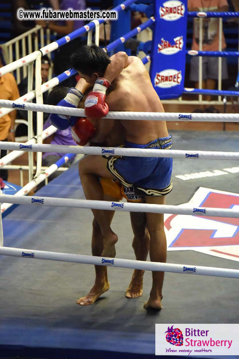 Muay Thai Boxing