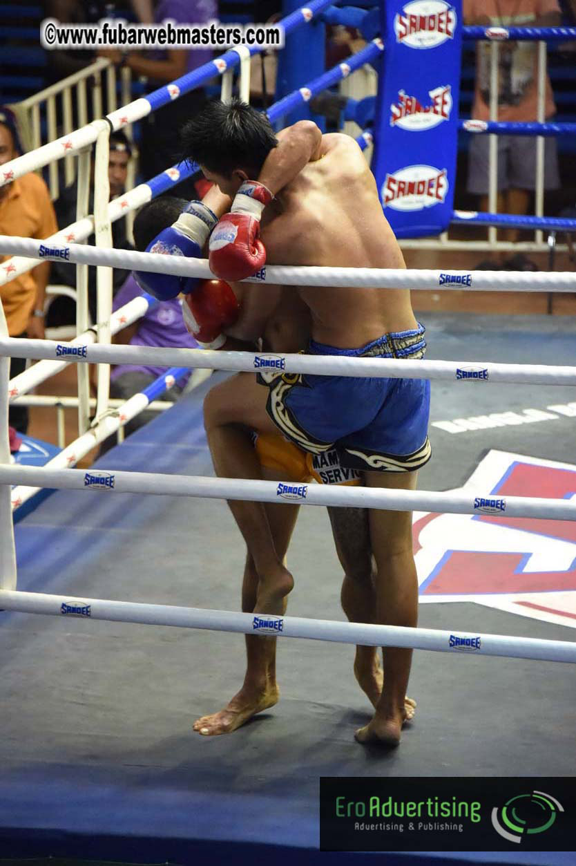 Muay Thai Boxing