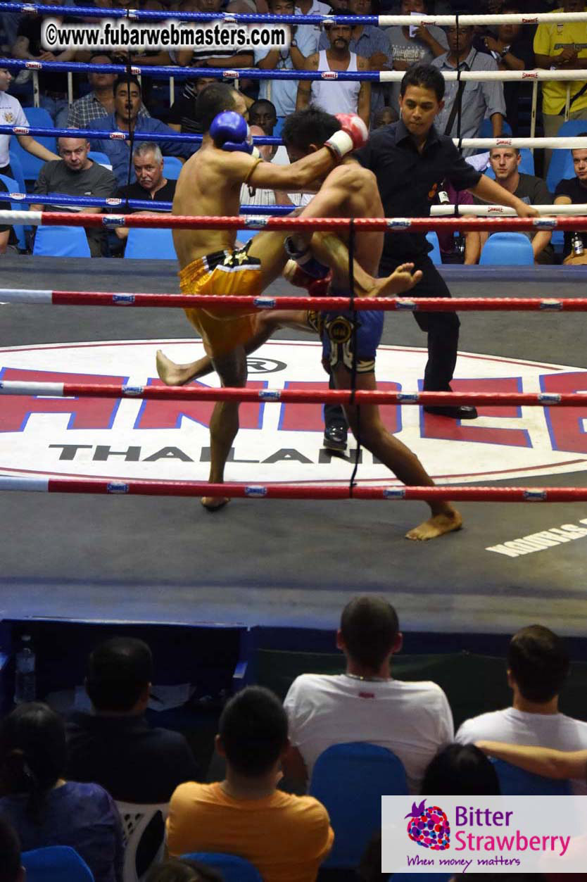 Muay Thai Boxing