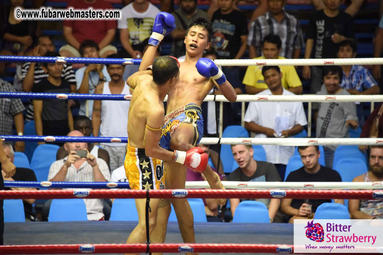 Muay Thai Boxing